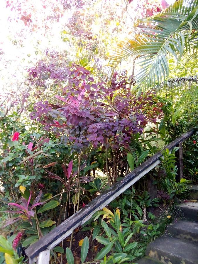 Island Home Honiara Eksteriør billede